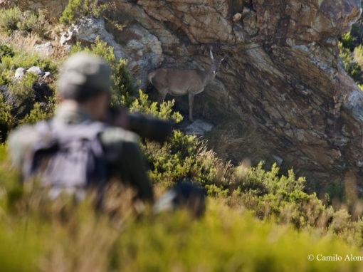La Berrea Fotográfica