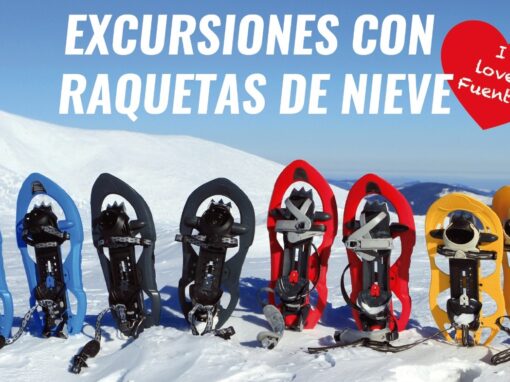 Raquetas de nieve