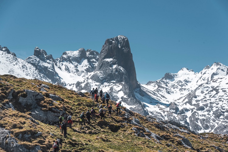 Picos de Europa